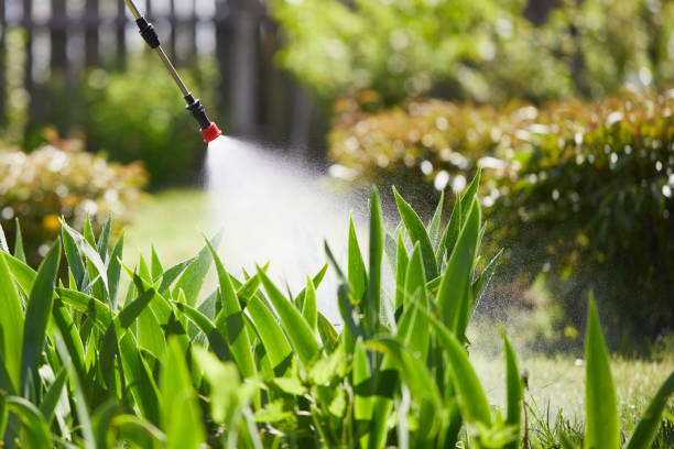 24/7 Emergency Fumigation Services experts in Hallam, PA