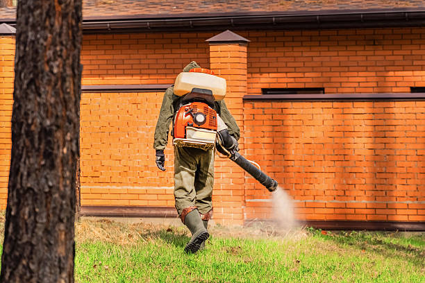 Trusted Rodent Control service in Hallam, PA - Nex Pest Control